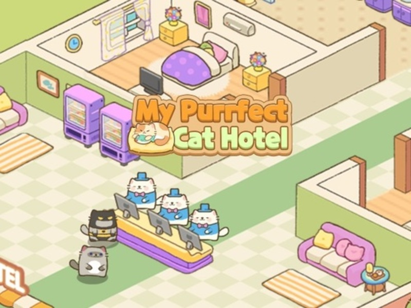 Spēle Mana purrfect cat viesnīca online