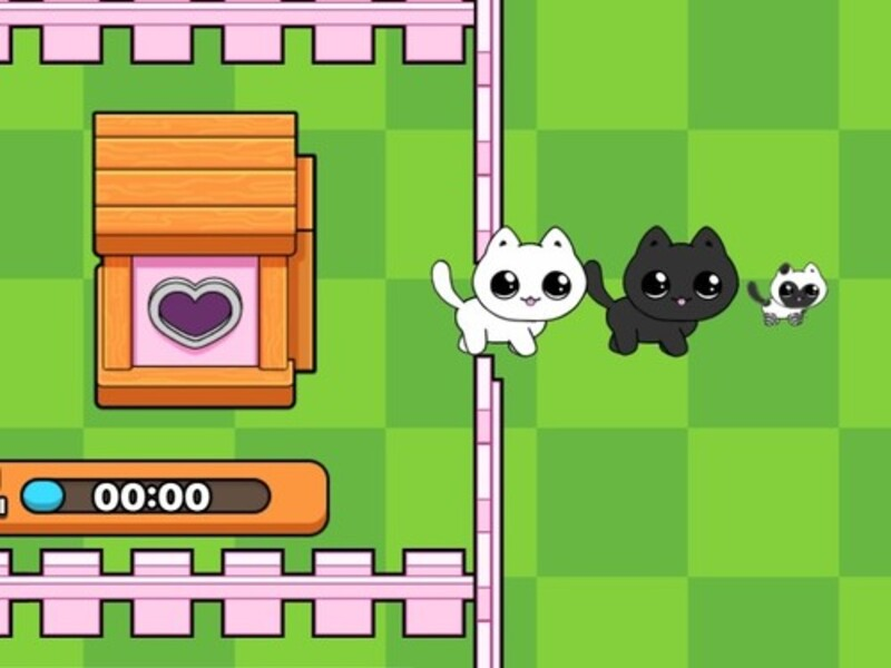 Spēle Manas kitties. Kaķu pasaule online