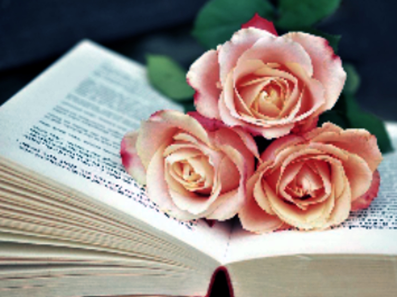Spēle Blooms FinSaw grāmata online